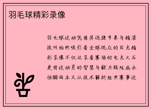 羽毛球精彩录像